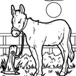 Malvorlage Esel