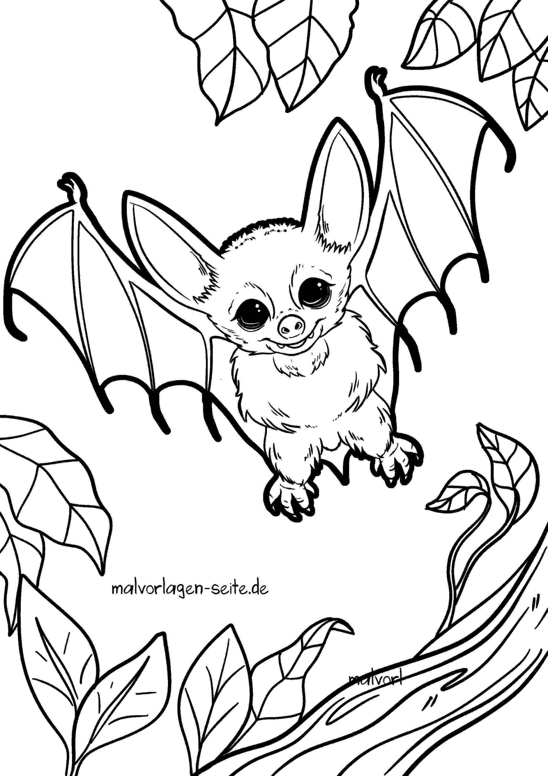Malvorlage Fledermaus