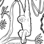 Malvorlage Gibbon