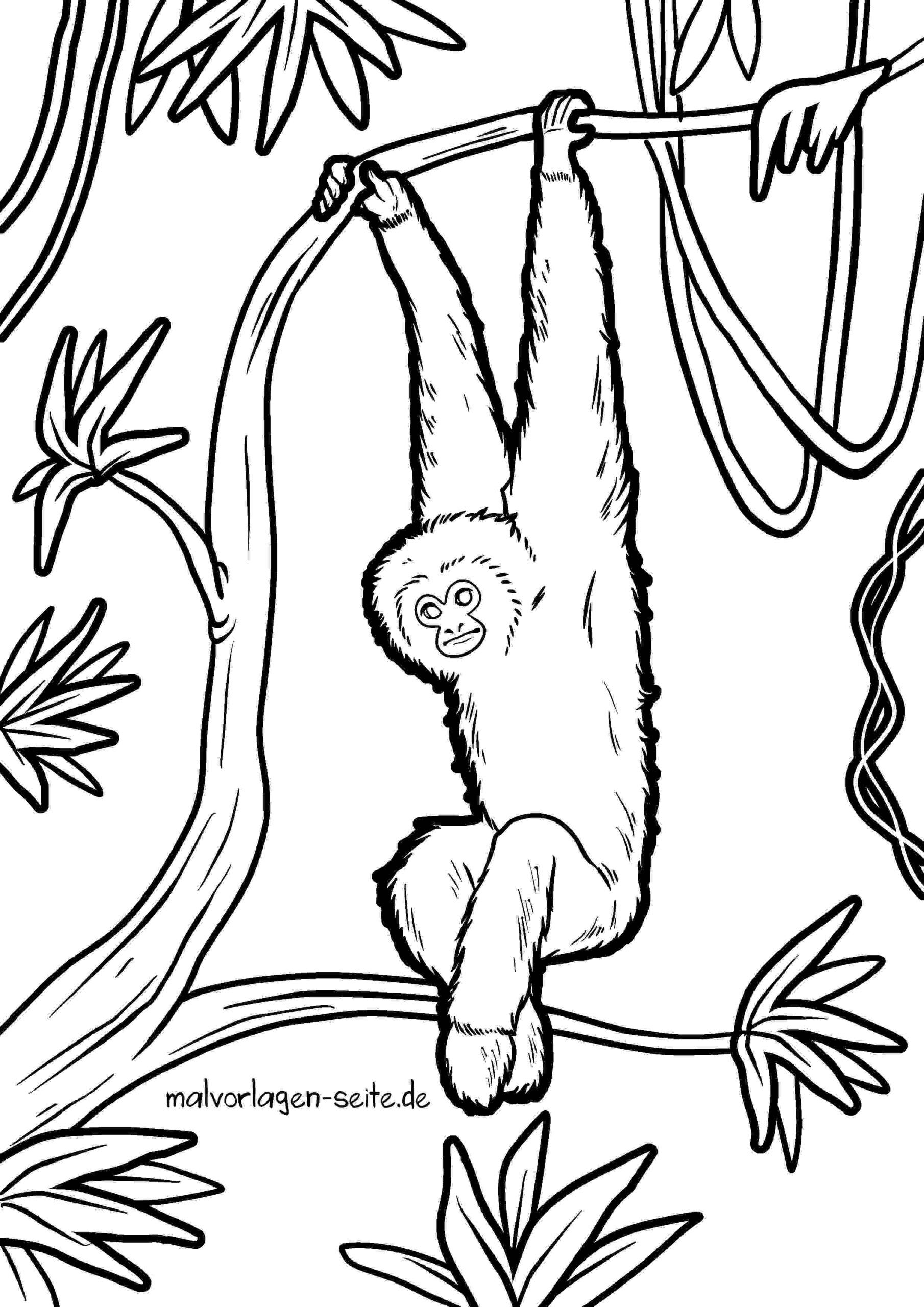 Malvorlage Gibbon