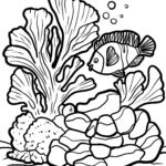 Malvorlage Koralle