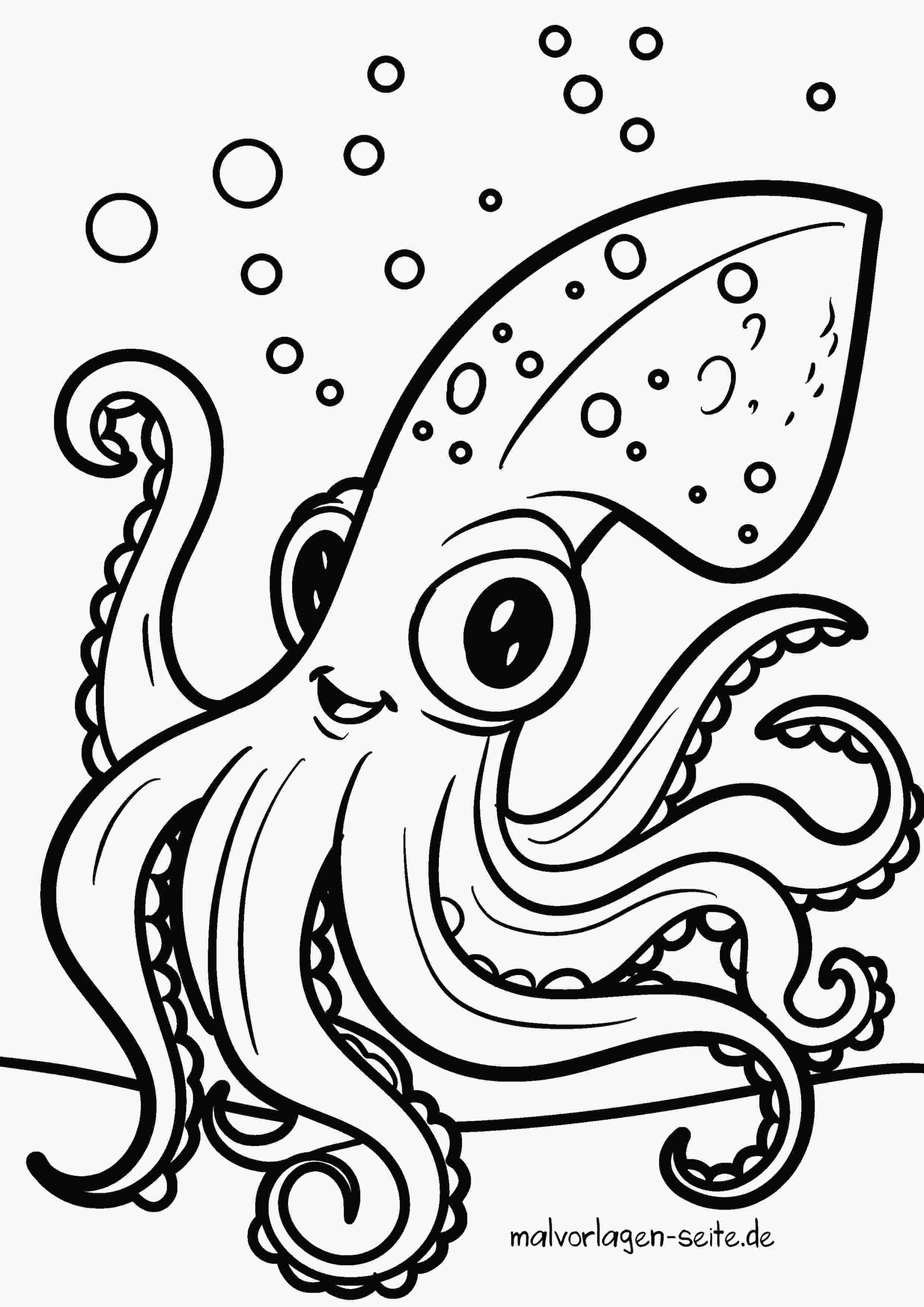 Malvorlage Krake - Oktopus