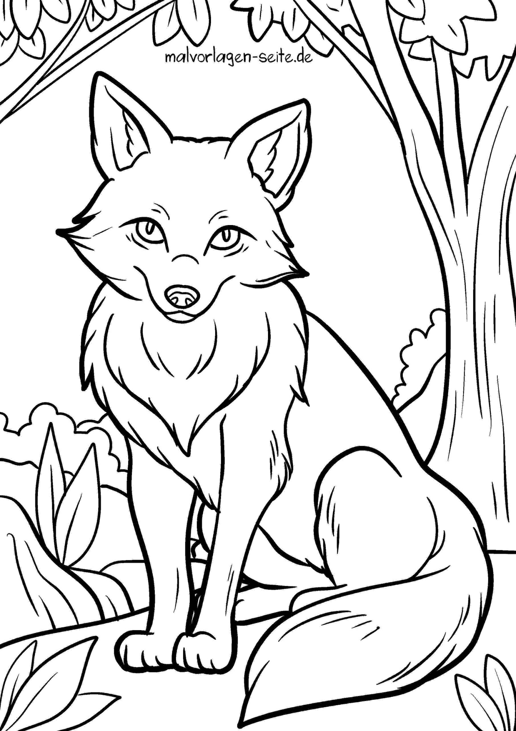 Malvorlage Fuchs