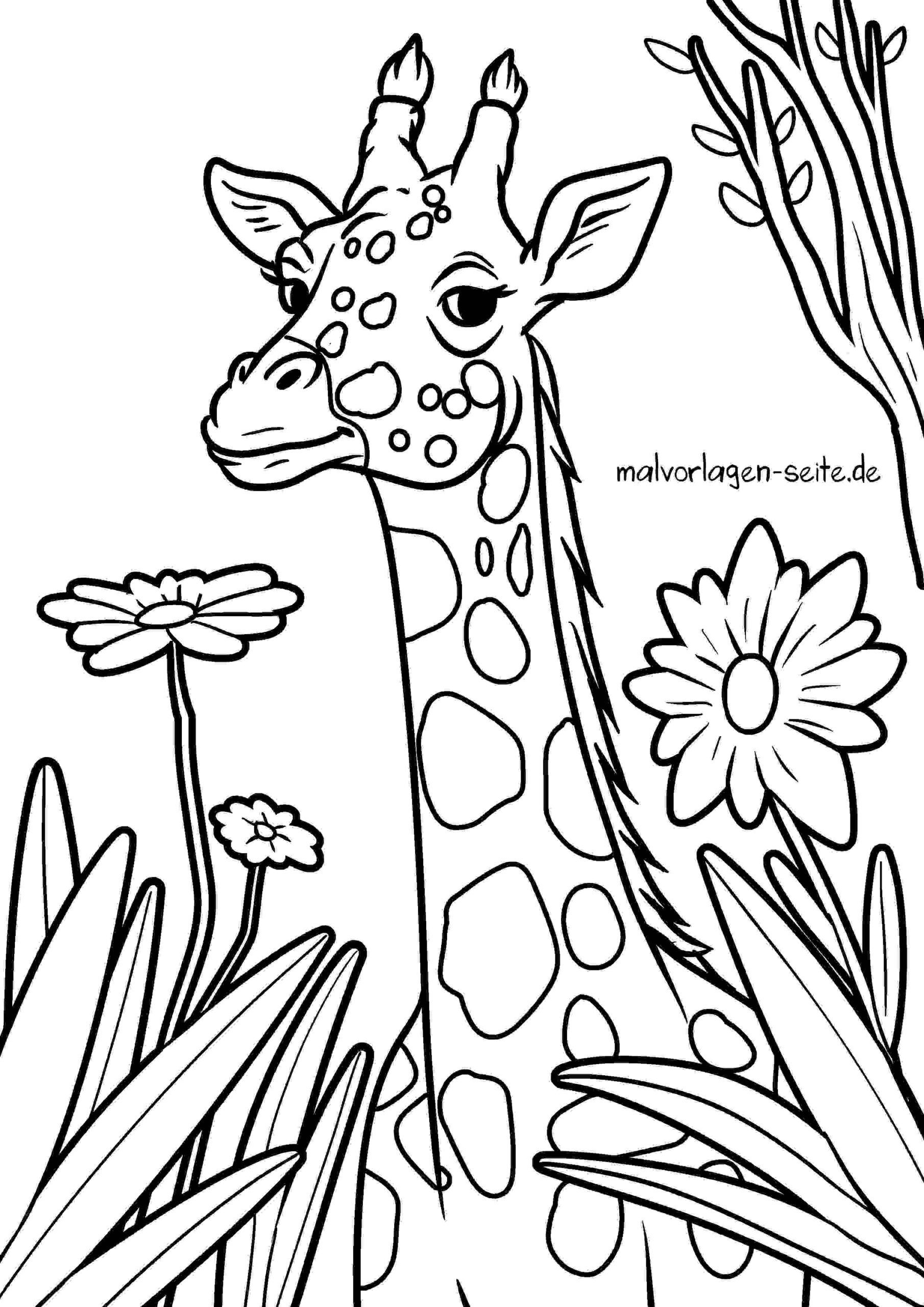 Malvorlage Giraffe