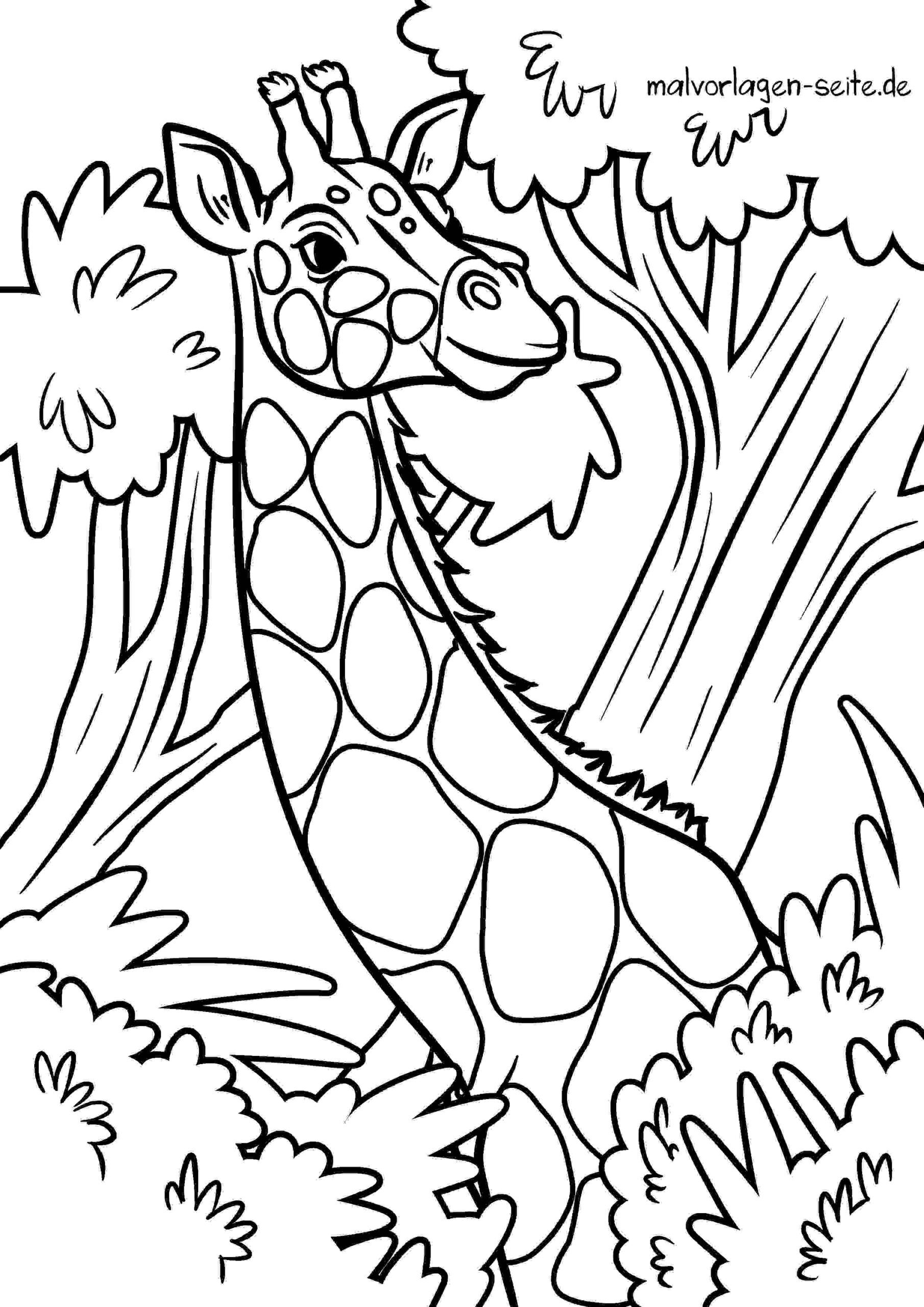 Malvorlage Giraffe