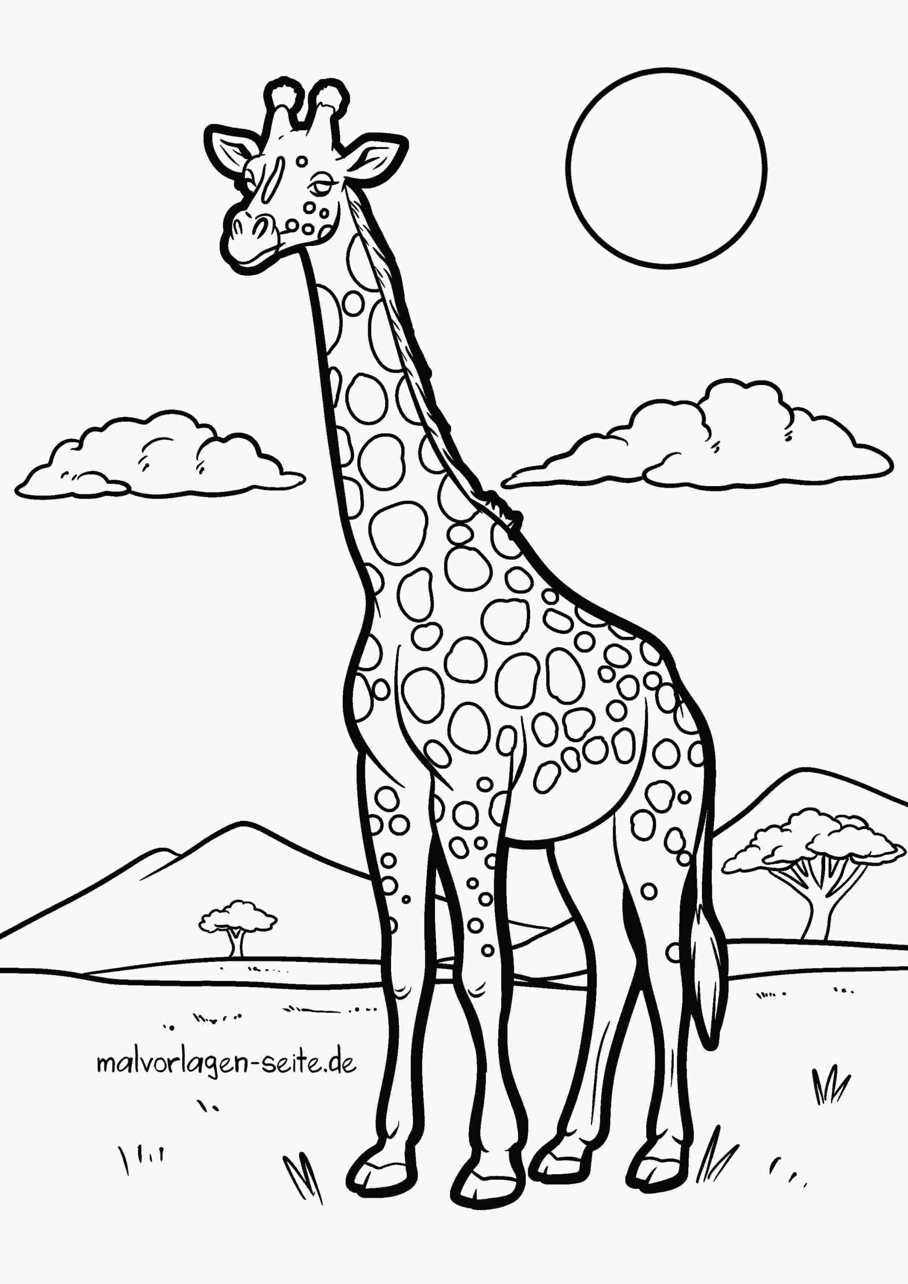 Malvorlage Giraffe