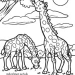 Malvorlage Giraffen