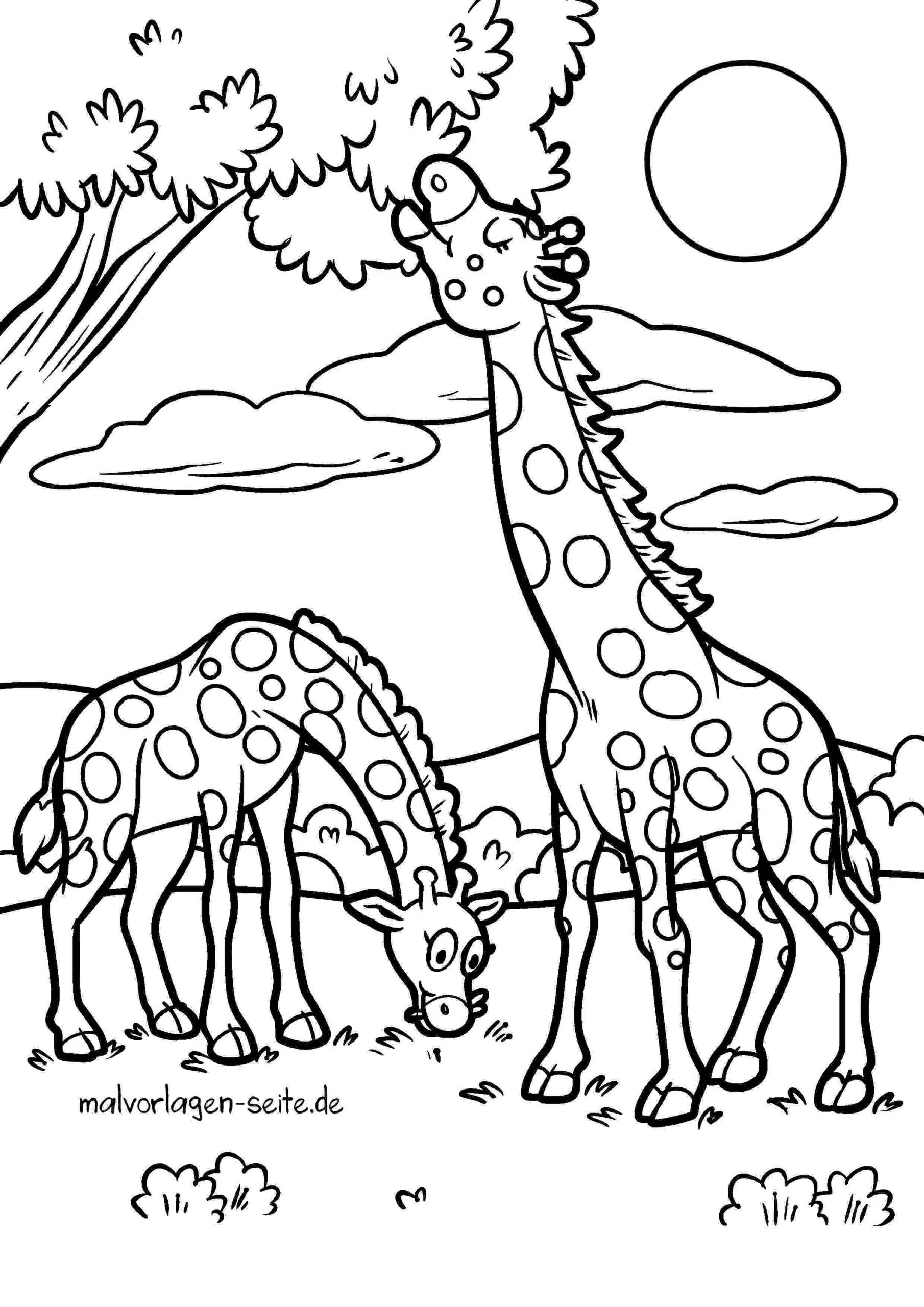 Malvorlage Giraffen