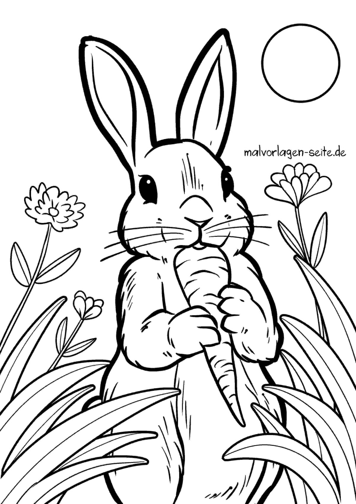 Malvorlage Hase | Jetzt kostenlos herunterladen