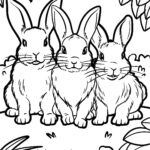 Malvorlage Hasen Malvorlage Hasen