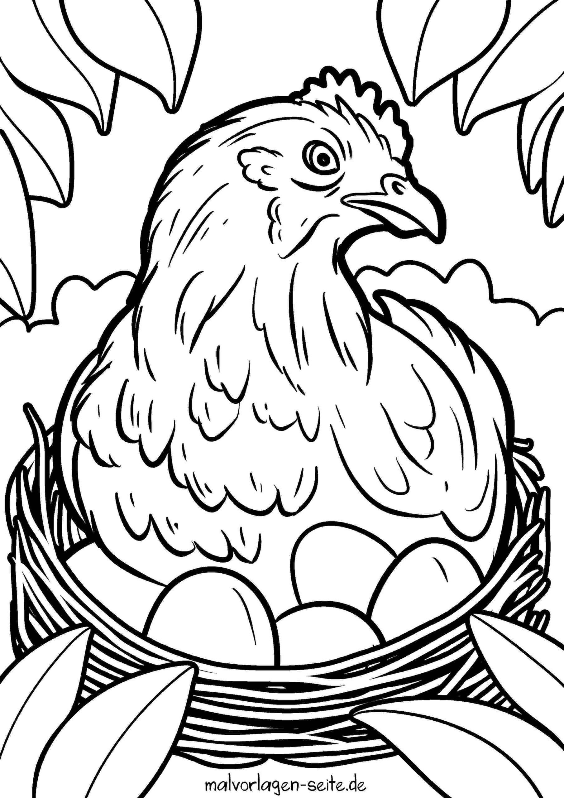 Malvorlage Huhn