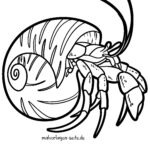 Malvorlage Krebs in Muschel