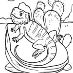 Malvorlage Leguan