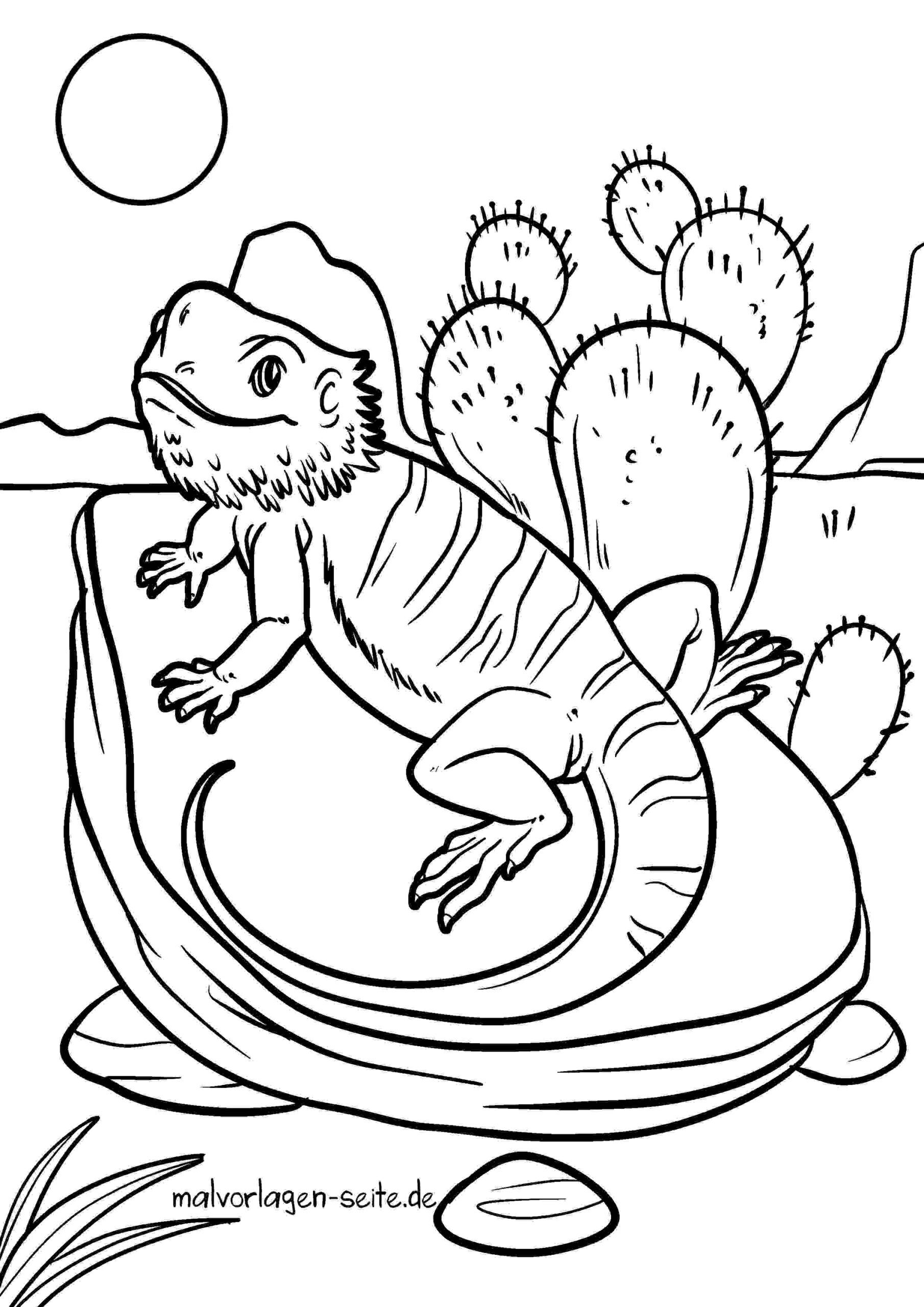 Malvorlage Leguan