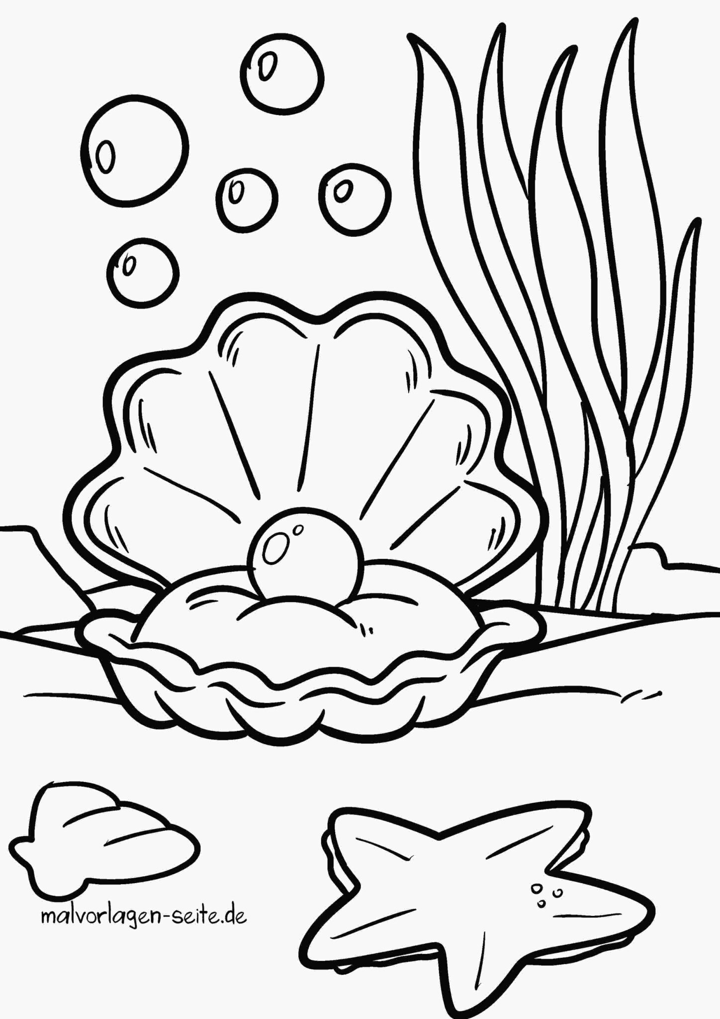 Malvorlage Muschel mit Perle | Jetzt kostenlos herunterladen