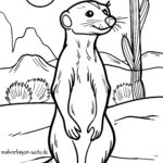 Malvorlage Erdmännchen