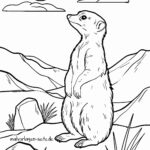 Malvorlage Erdmännchen
