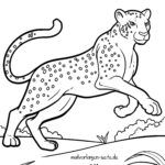 Malvorlage Raubkatze