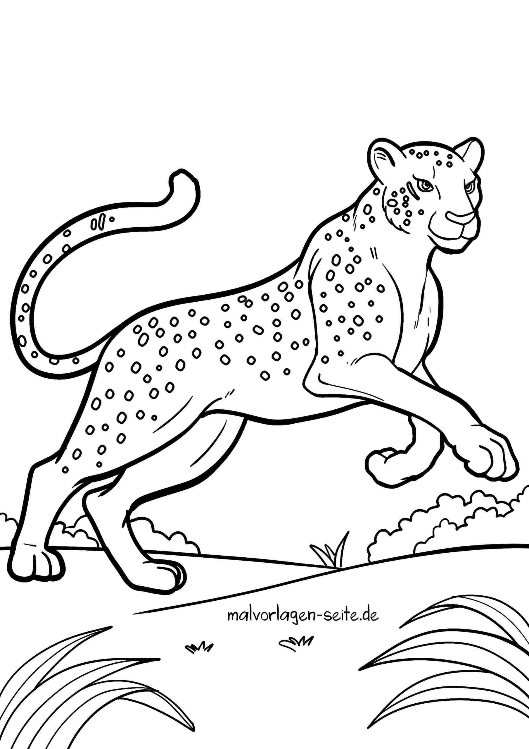 Malvorlage Raubkatze