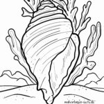 Malvorlage Muschel
