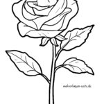 Malvorlage Rose