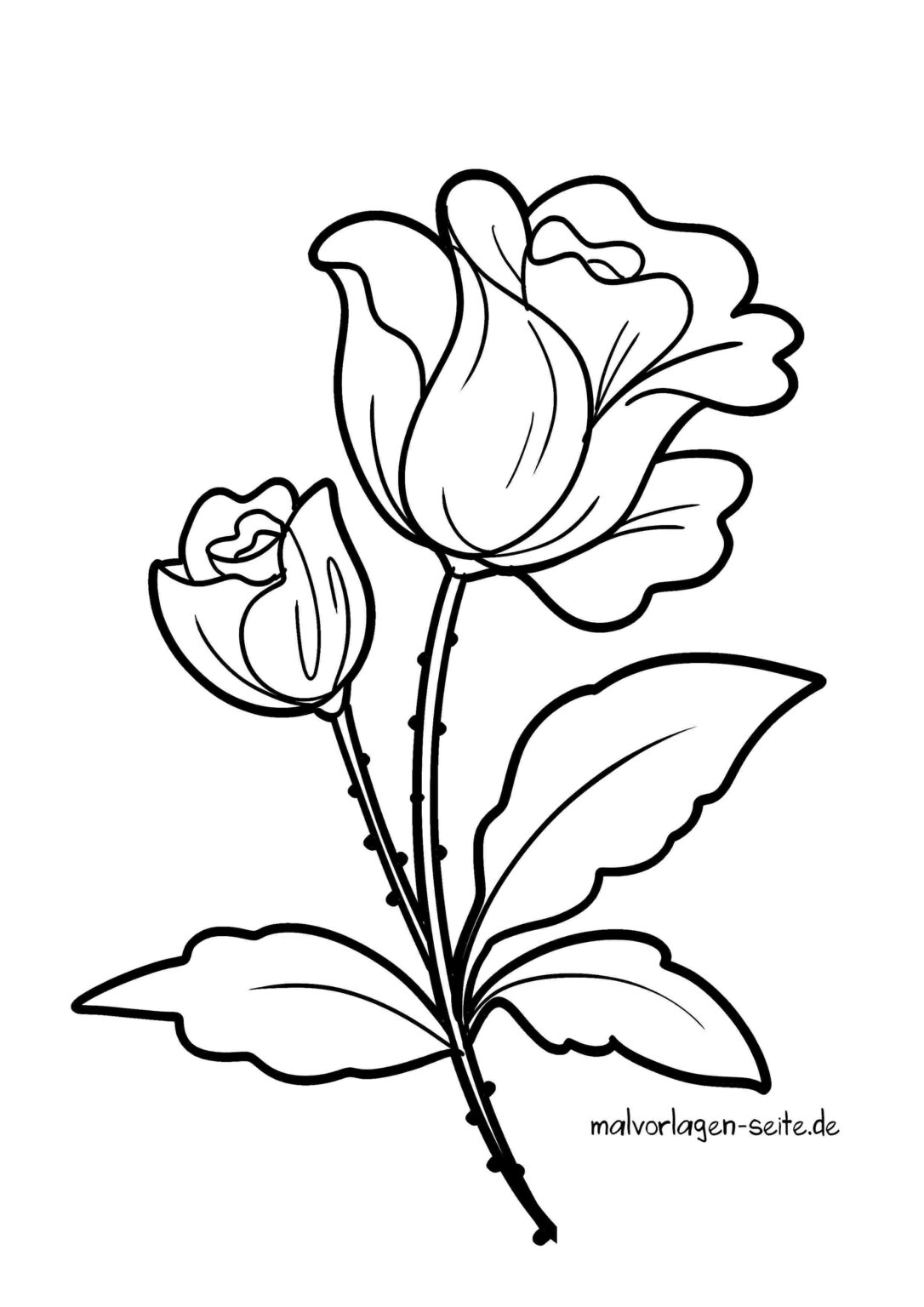 Malvorlage Blume | Jetzt kostenlos herunterladen