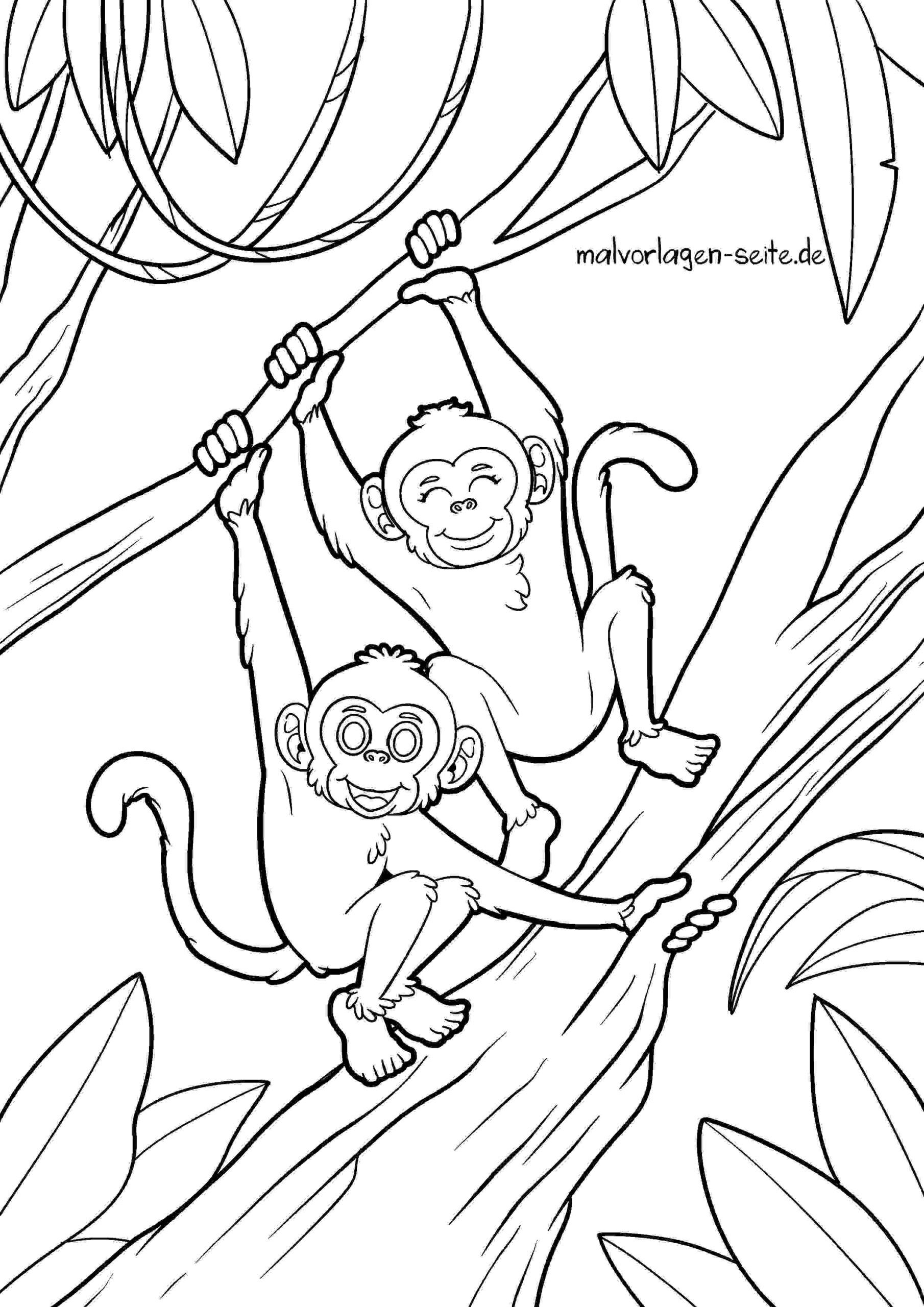 Malvorlage Affen