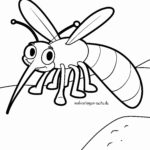 Malvorlage Mücke / Moskito