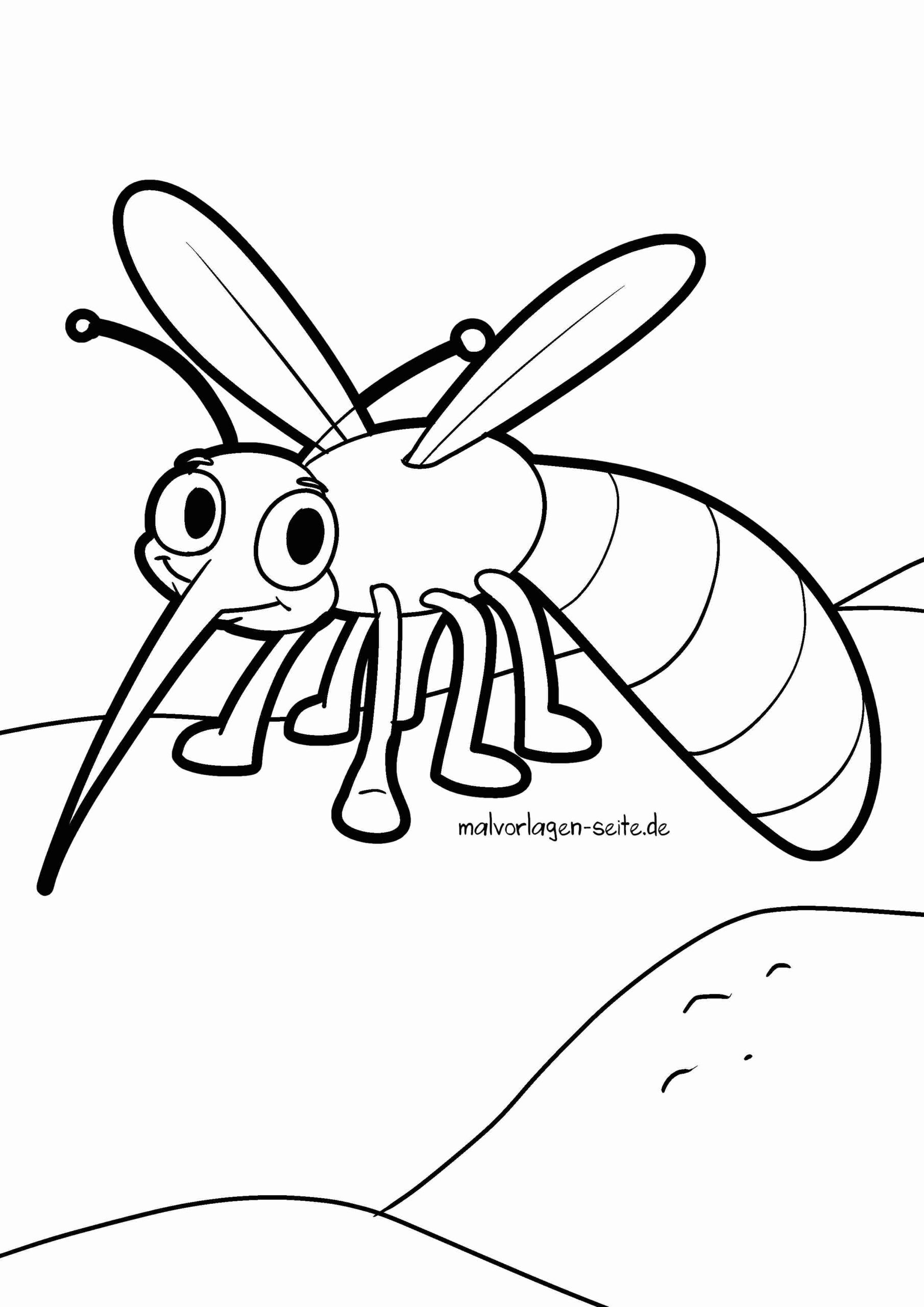 Malvorlage Mücke / Moskito