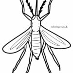 Malvorlage Mücke / Moskito