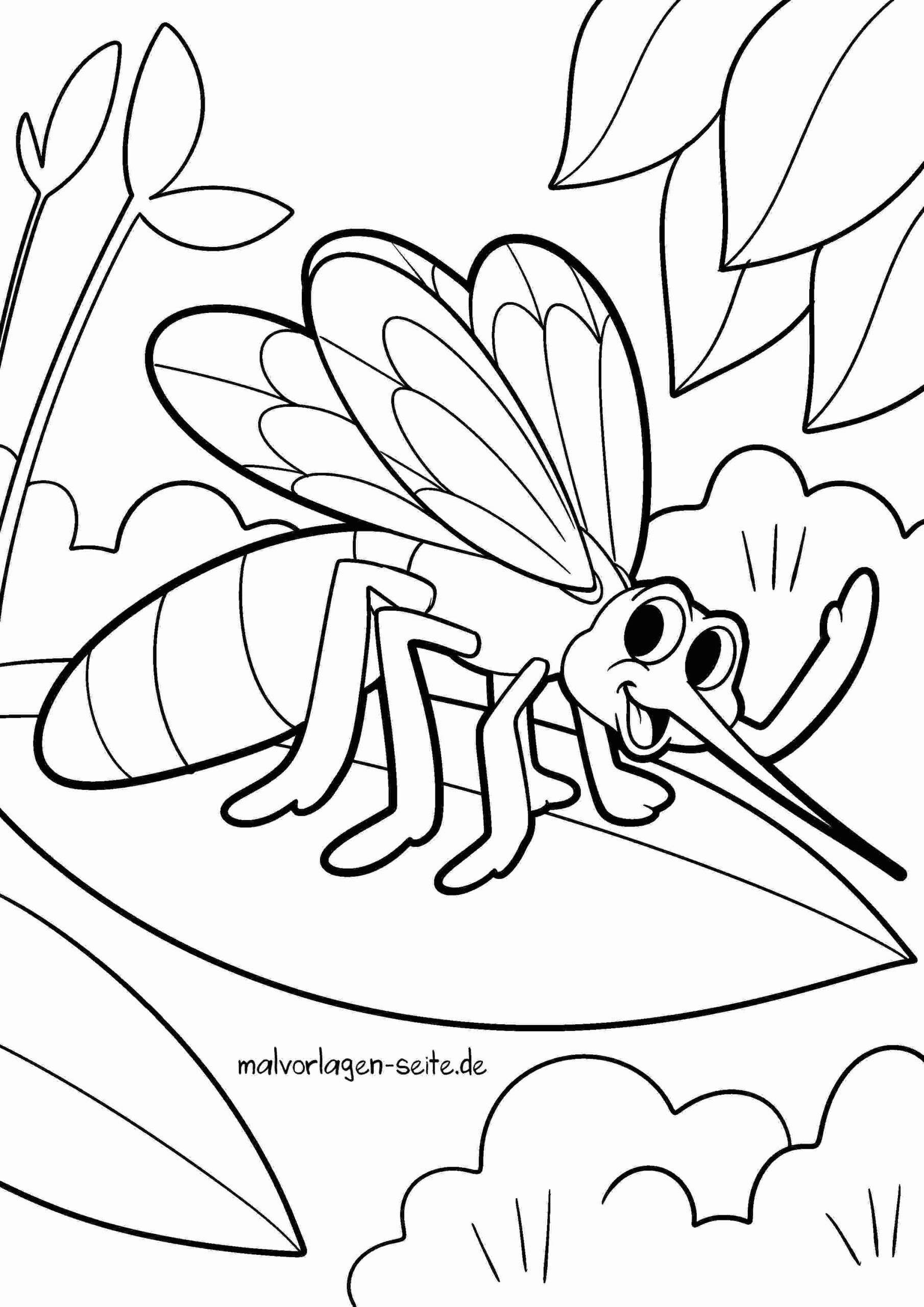 Malvorlage Mücke / Moskito