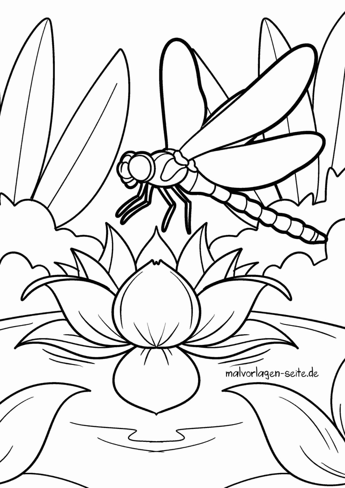 Malvorlage Libelle