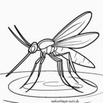 Malvorlage Stechmücke