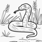 Malvorlage Schlange