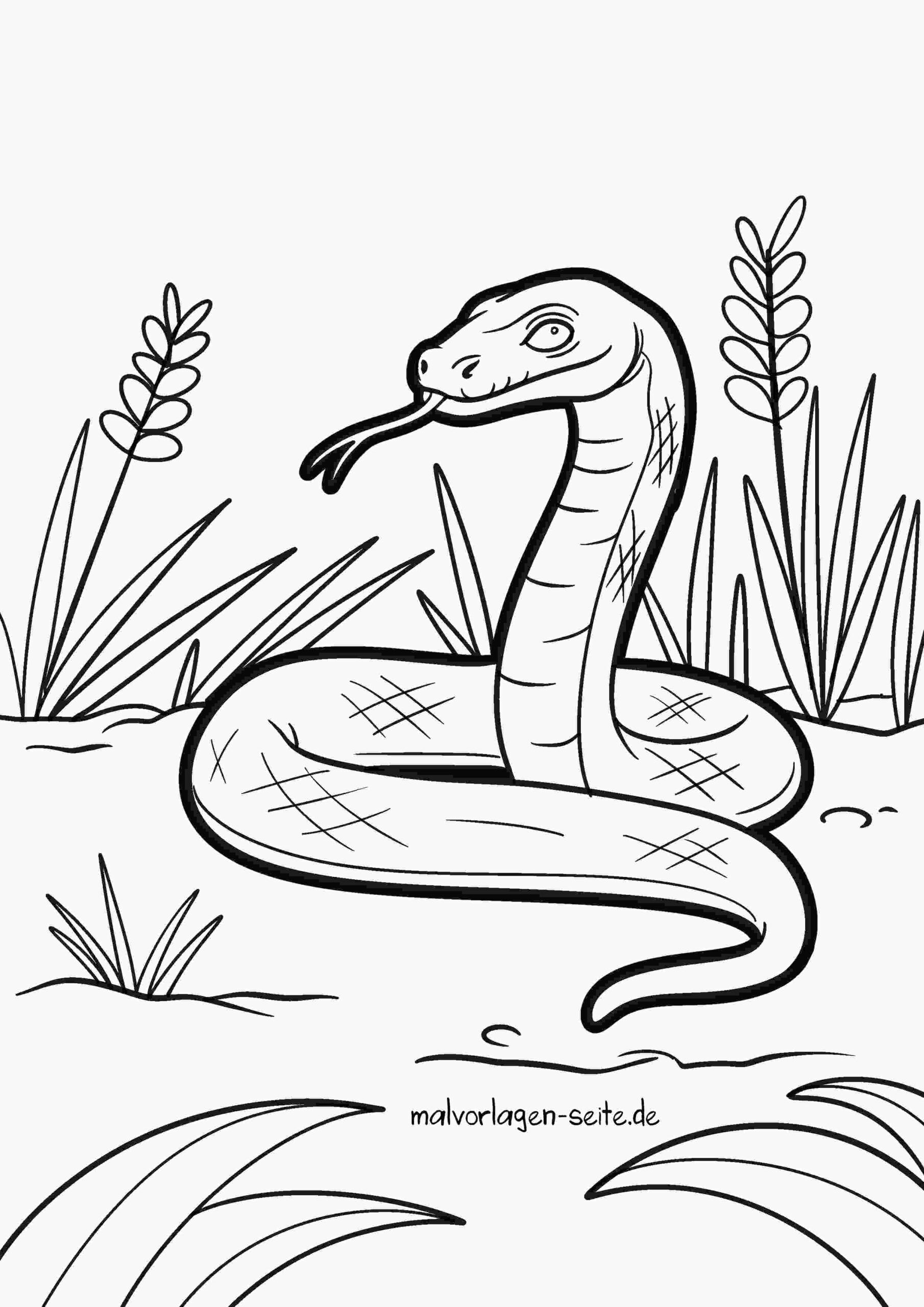 Malvorlage Schlange