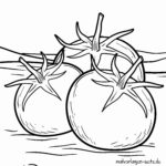 Malvorlage Tomaten Malvorlage Tomaten