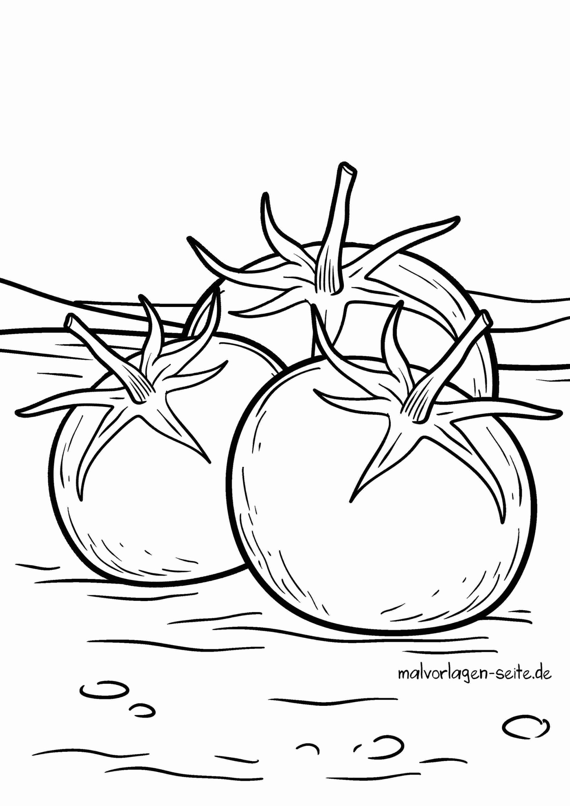 Malvorlage Tomaten