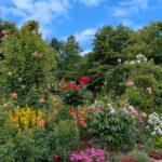 Rosengarten Hadamar