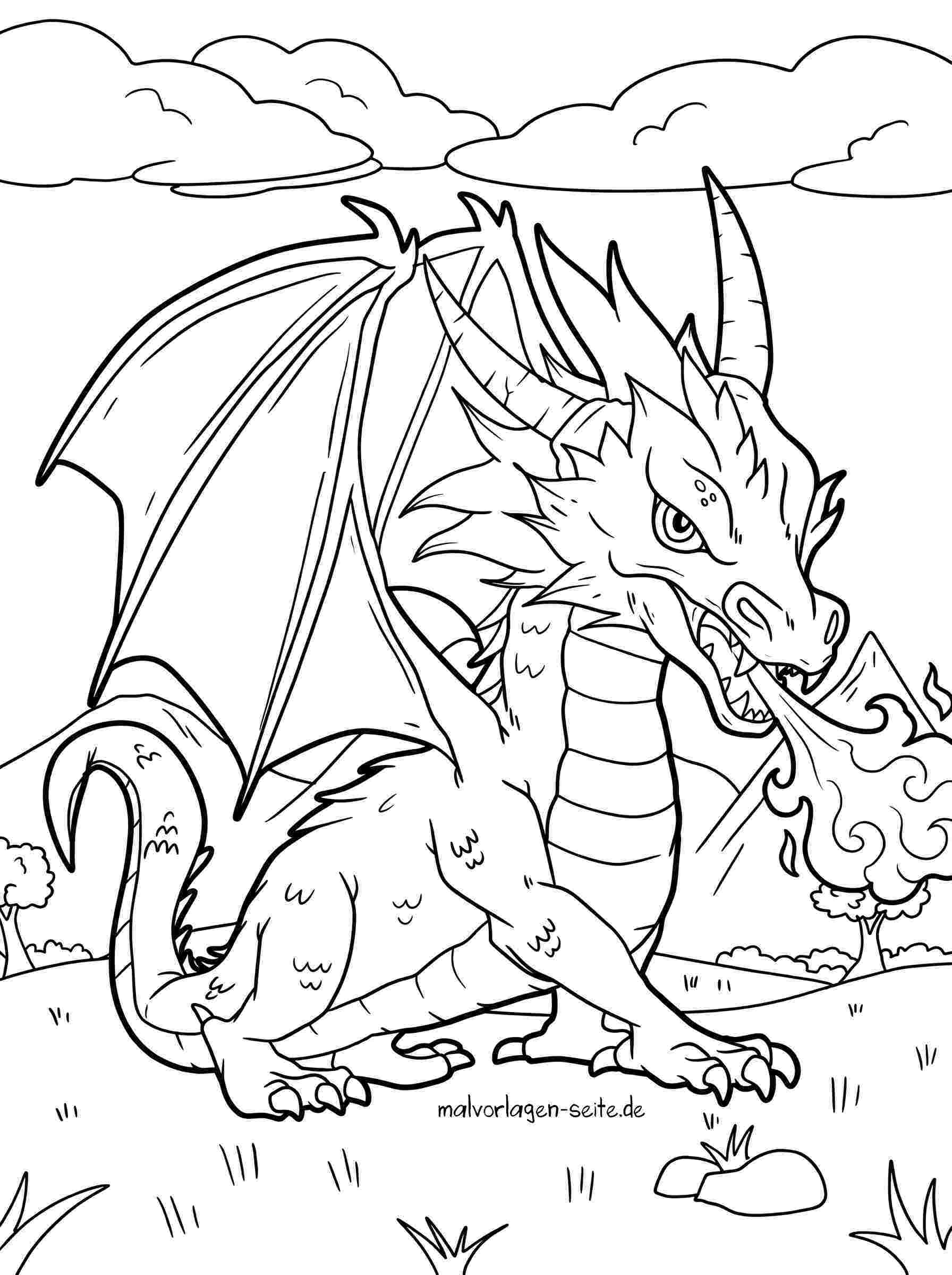 Malvorlage Drache