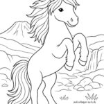 Malvorlage Islandpony Malvorlage Islandpony