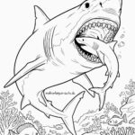 Malvorlage Megalodon