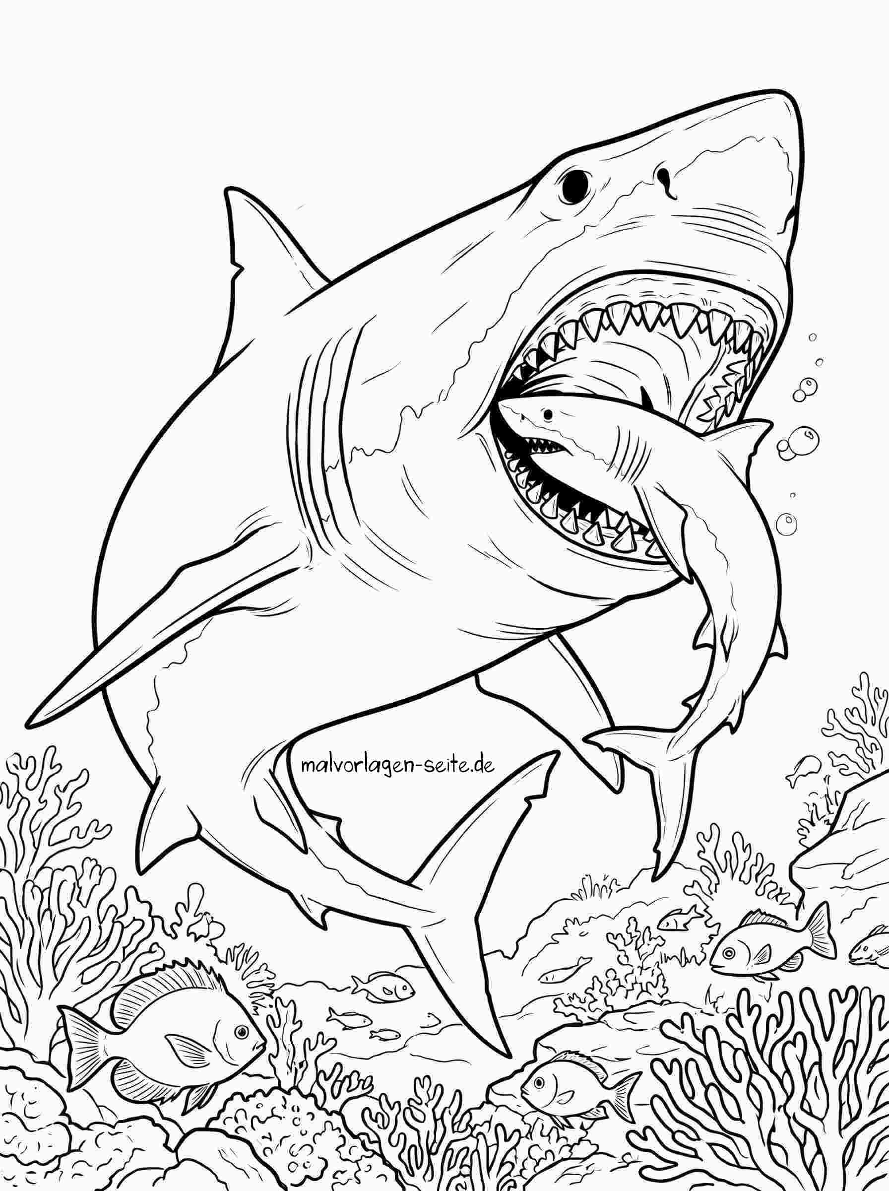 Malvorlage Megalodon