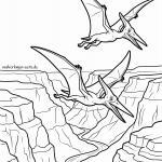 Malvorlage Pteranodon Malvorlage Pteranodon