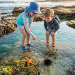Weitere Wirbellose von A bis Z Zwei Kinder mit Hüten und in Badeanzügen betrachten voller Begeisterung einen Seestern und einen Seeigel – beides Beispiele aus der faszinierenden Welt der „Weitere Wirbellose von A bis Z“ – in einem flachen Gezeitentümpel an einem felsigen Strand, im Hintergrund sind Wellen und Klippen zu sehen.